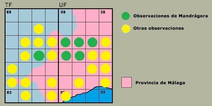 Distribucin de Boyeria irene en la Serrana